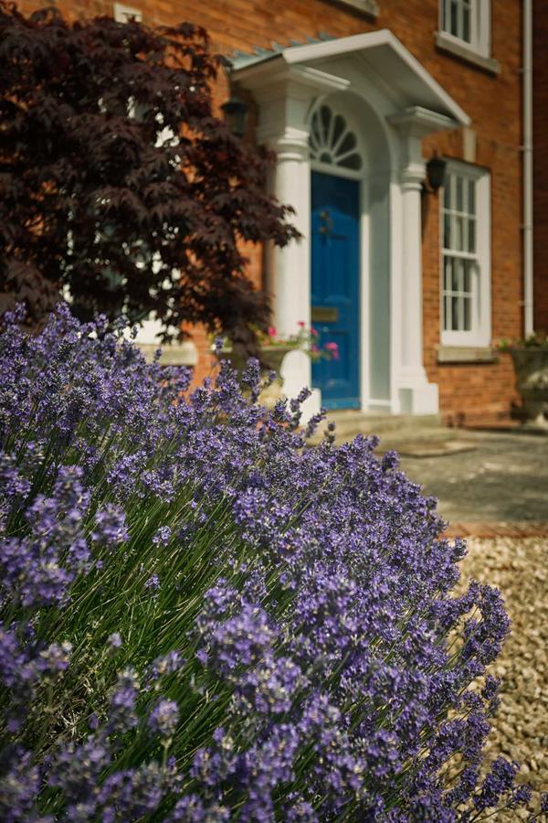 Alne Park Bed & Breakfast Great Alne Exterior foto